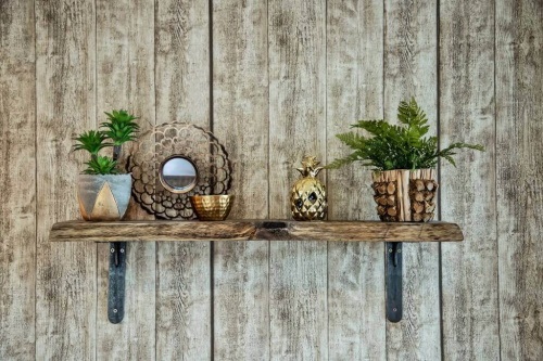 Inside wall with plants